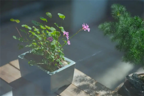 图片细节